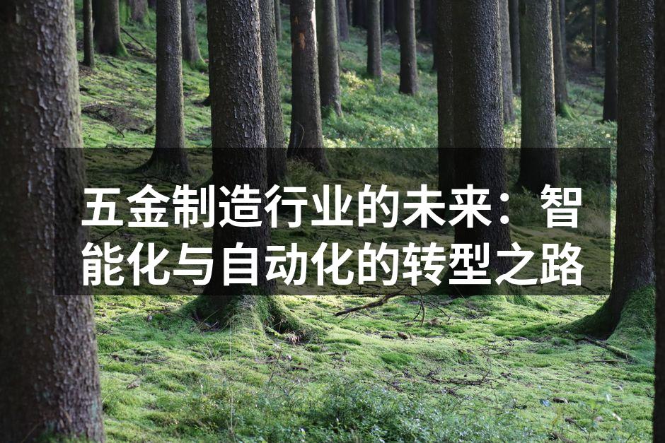五金制造行业的未来:智能化与自动化的转型之路