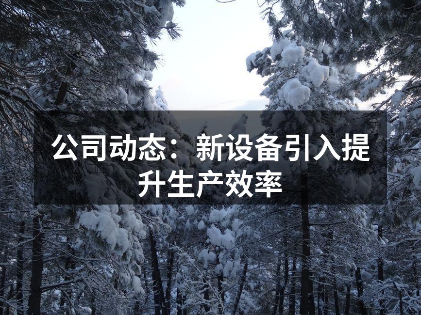 公司动态：新设备引入提升生产效率