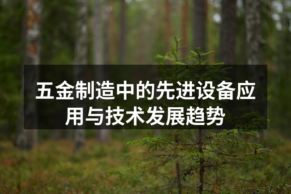 五金制造中的先进设备应用与技术发展趋势